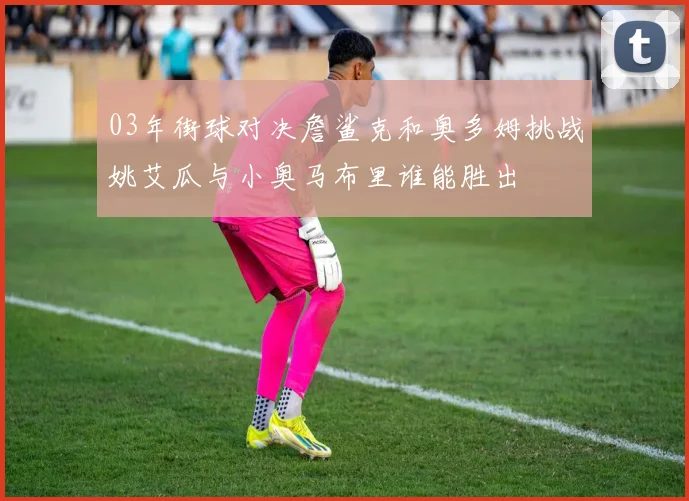 03年街球对决詹鲨克和奥多姆挑战姚艾瓜与小奥马布里谁能胜出